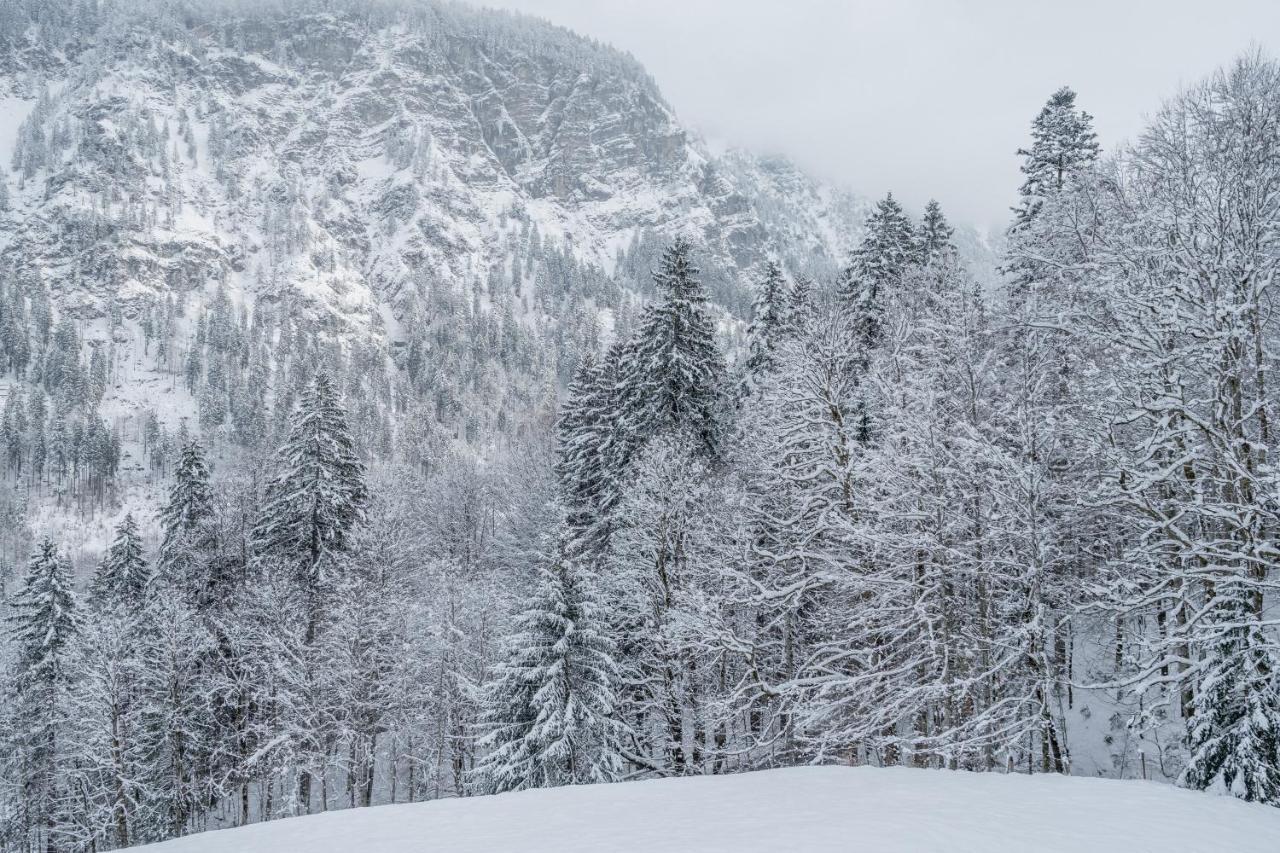 Apartamento Waldgut Oberstdorf Exterior foto