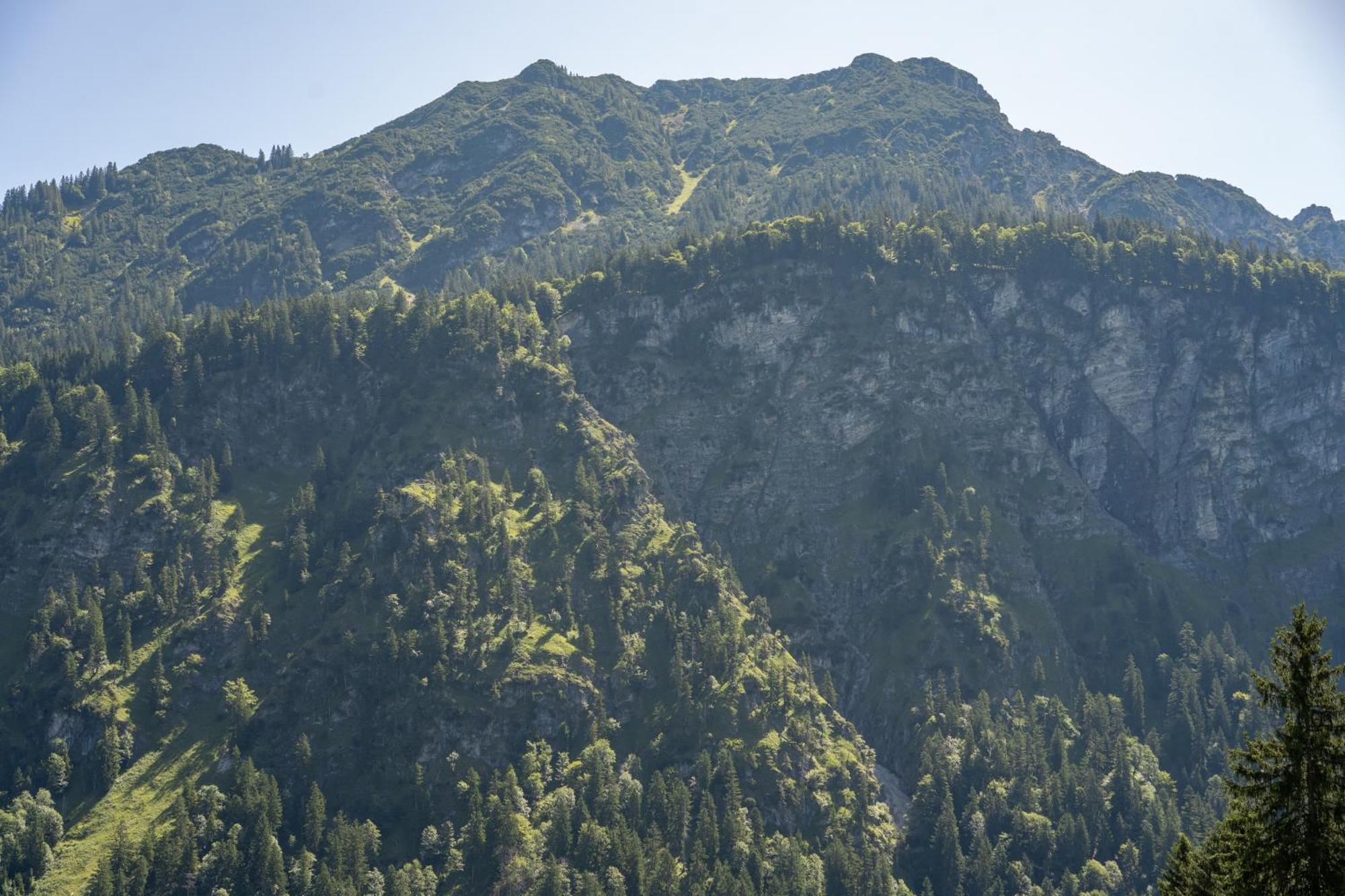Apartamento Waldgut Oberstdorf Exterior foto